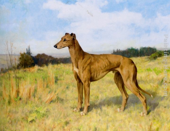 Arthur Wardle Champion Greyhound Dee Rock